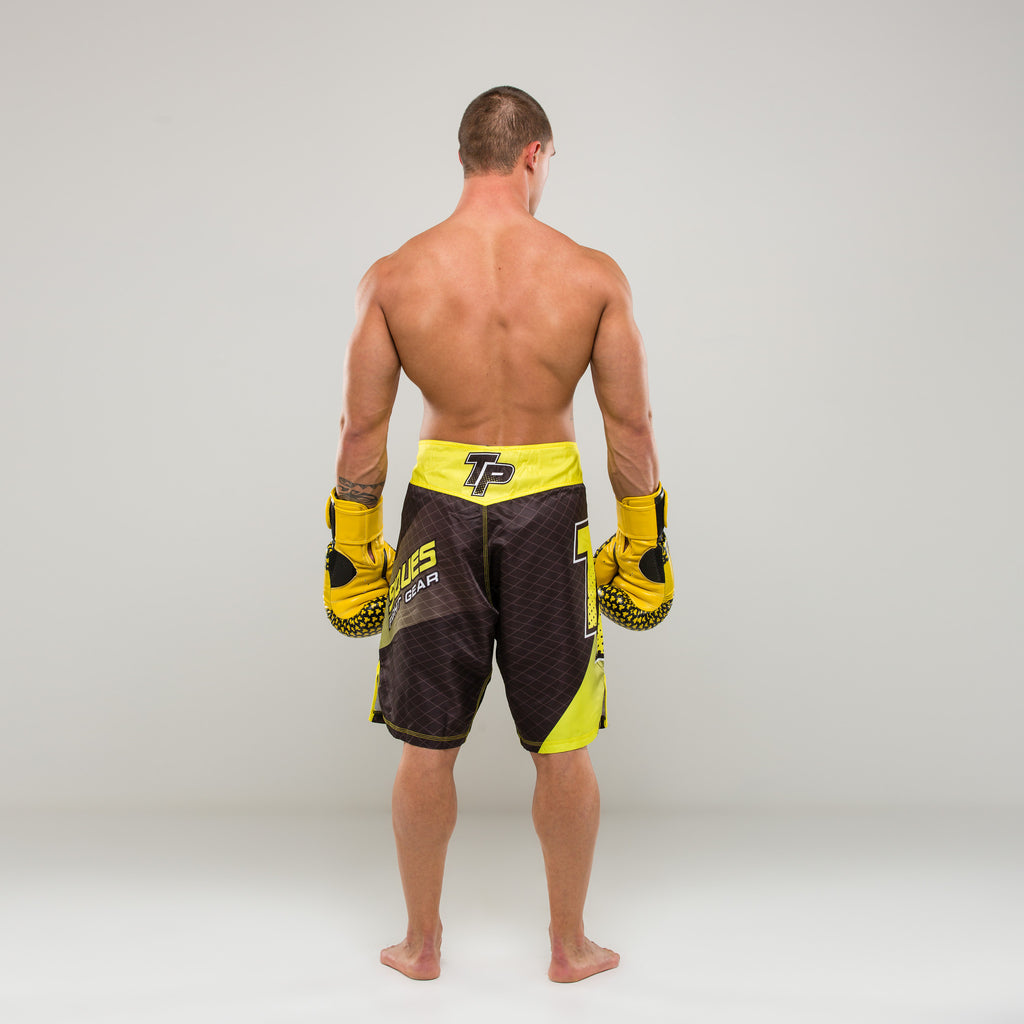 Team TP Boxing Gloves