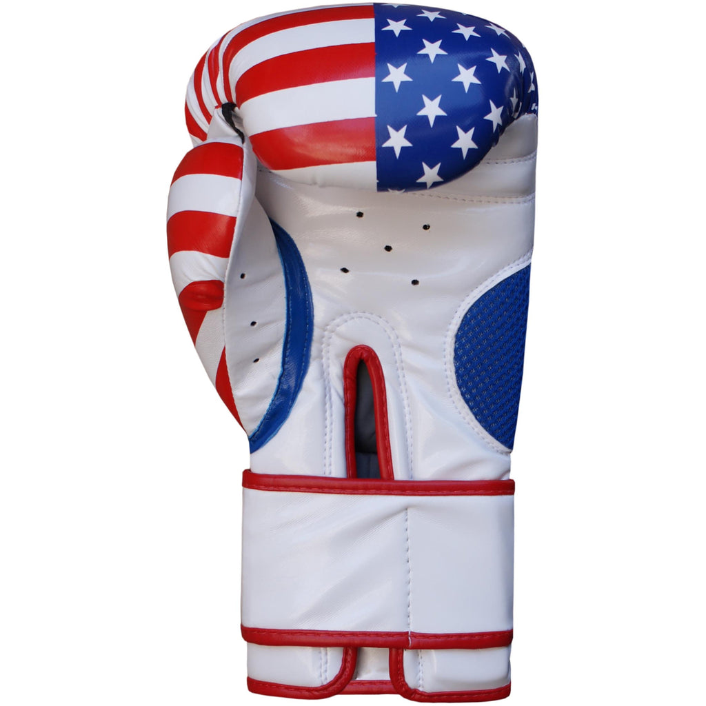 USA Boxing Gloves